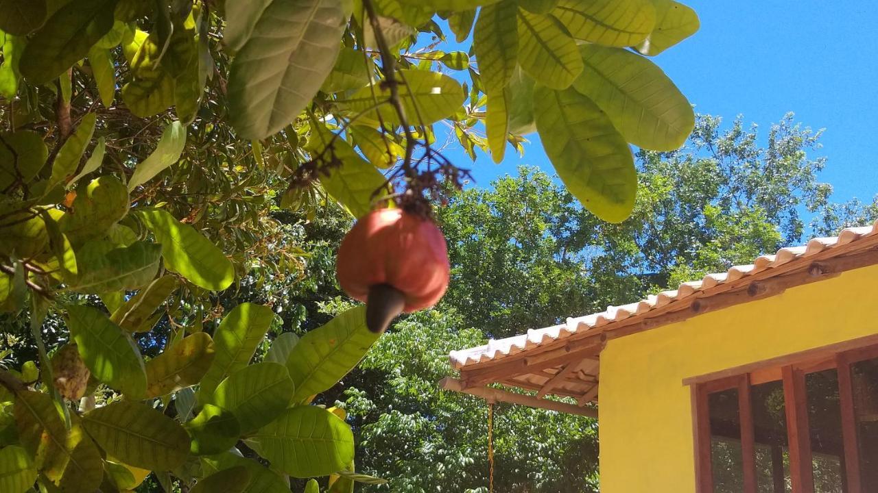 Casa Som Do Mar - Trancosoヴィラ エクステリア 写真